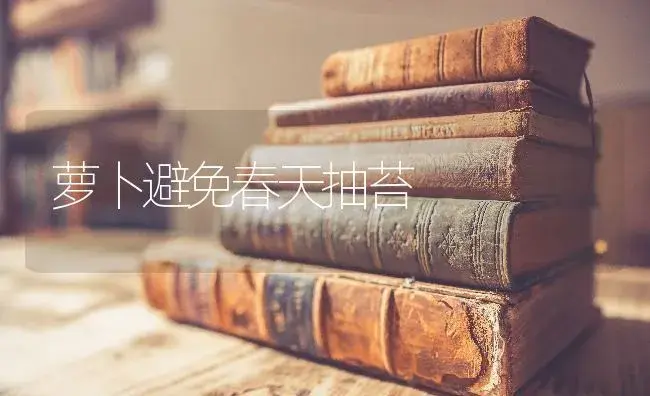 萝卜避免春天抽苔 | 蔬菜种植