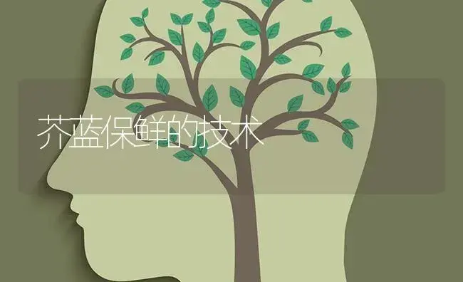 芥蓝保鲜的技术 | 蔬菜种植