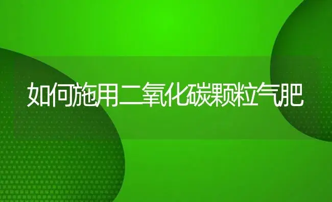 如何施用二氧化碳颗粒气肥 | 植物肥料