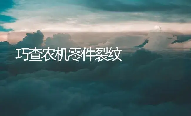 巧查农机零件裂纹 | 农资农机