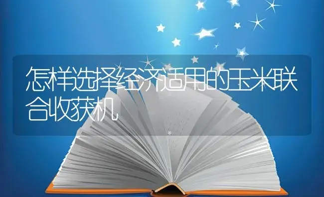 怎样选择经济适用的玉米联合收获机 | 农资农机