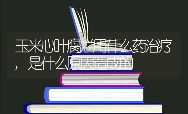 玉米心叶腐烂用什么药治疗,是什么原因造成的 | 植物农药