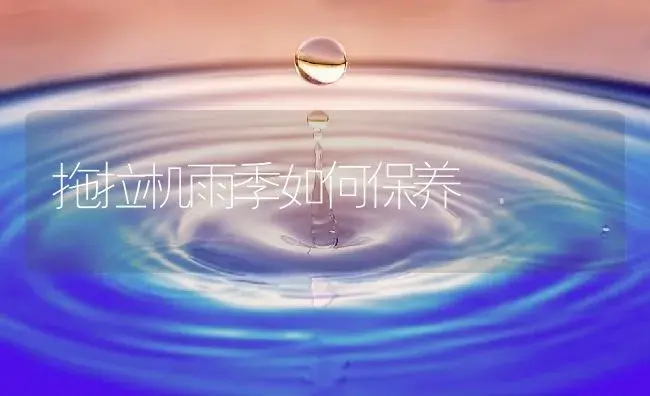 拖拉机雨季如何保养 | 农资农机