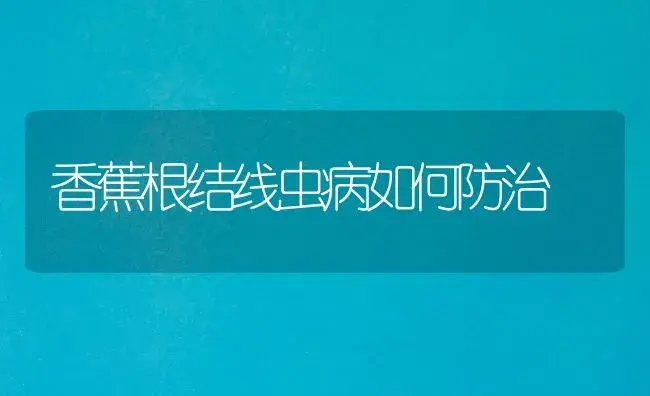 香蕉根结线虫病如何防治 | 植物病虫害