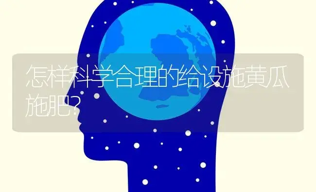 怎样科学合理的给设施黄瓜施肥？ | 蔬菜种植