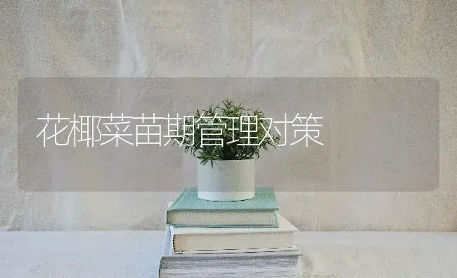 花椰菜苗期管理对策 | 蔬菜种植