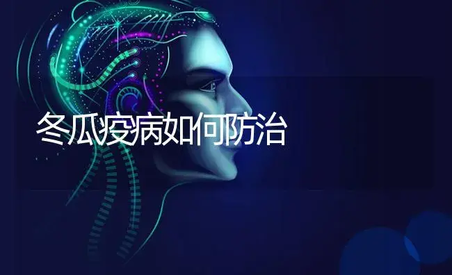 冬瓜疫病如何防治 | 蔬菜种植