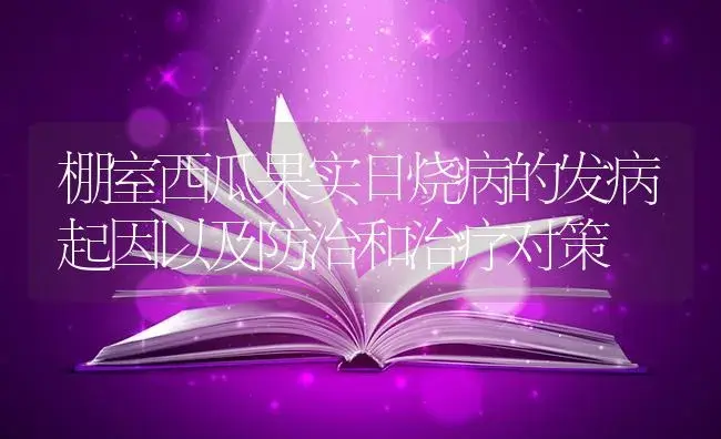 棚室西瓜果实日烧病的发病起因以及防治和治疗对策 | 蔬菜种植