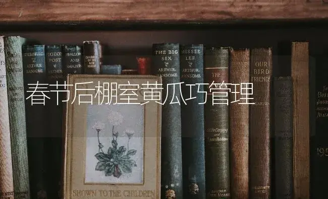 春节后棚室黄瓜巧管理 | 蔬菜种植