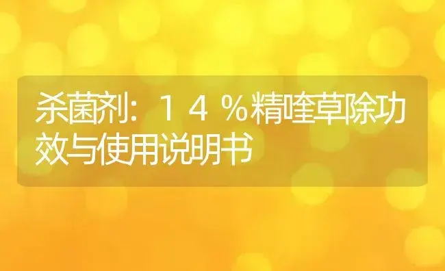 杀菌剂：14%精喹草除 | 适用防治对象及农作物使用方法说明书 | 植物农药