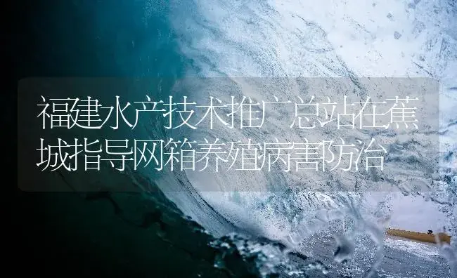 福建水产技术推广总站在蕉城指导网箱养殖病害防治 | 植物病虫害