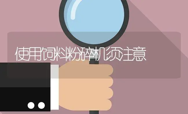 使用饲料粉碎机须注意 | 农资农机