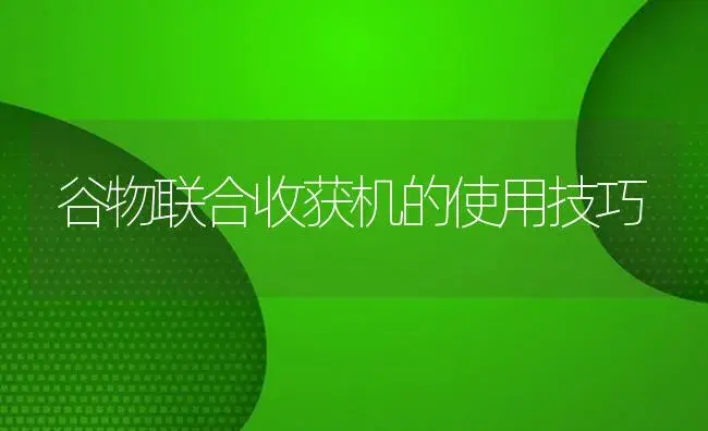 谷物联合收获机的使用技巧 | 农资农机