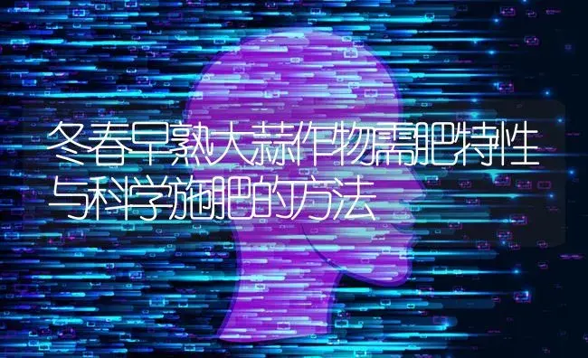 冬春早熟大蒜作物需肥特性与科学施肥的方法 | 蔬菜种植