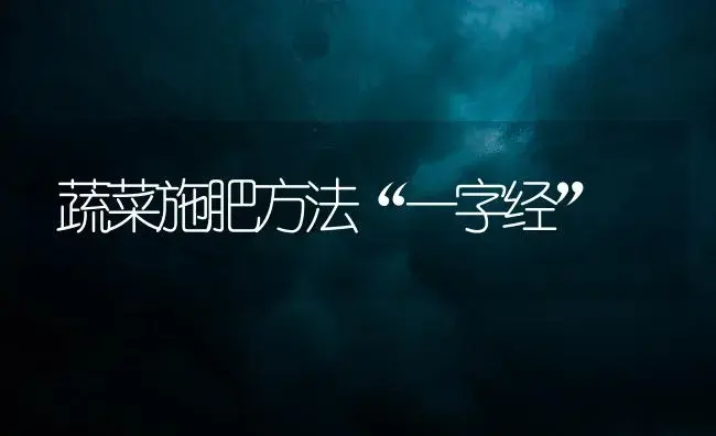 蔬菜施肥方法“一字经” | 植物肥料