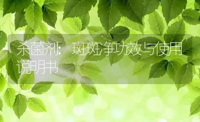 杀菌剂：斑斑净 | 适用防治对象及农作物使用方法说明书 | 植物农药