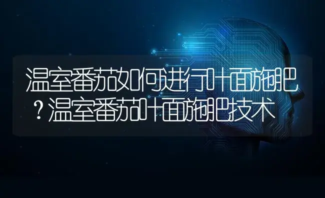 温室番茄如何进行叶面施肥？温室番茄叶面施肥技术 | 蔬菜种植