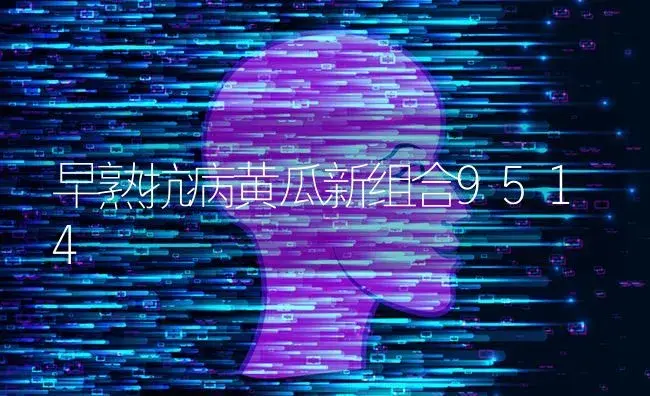 早熟抗病黄瓜新组合9514 | 蔬菜种植