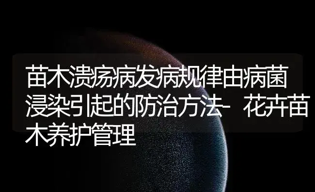 苗木溃疡病发病规律由病菌浸染引起的防治方法-花卉苗木养护管理 | 植物病虫害