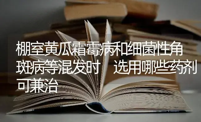 棚室黄瓜霜霉病和细菌性角斑病等混发时　选用哪些药剂可兼治 | 蔬菜种植