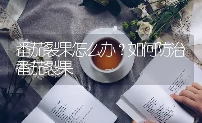 番茄裂果怎么办？如何防治番茄裂果 | 蔬菜种植