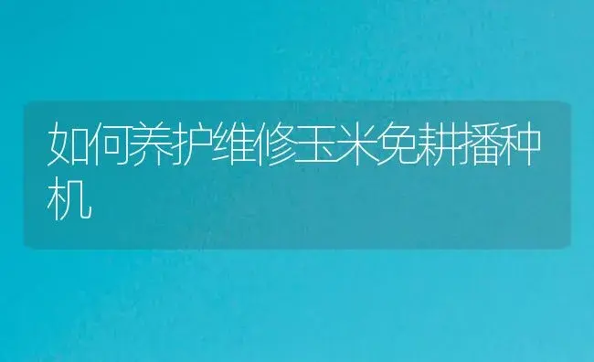 如何养护维修玉米免耕播种机 | 农资农机