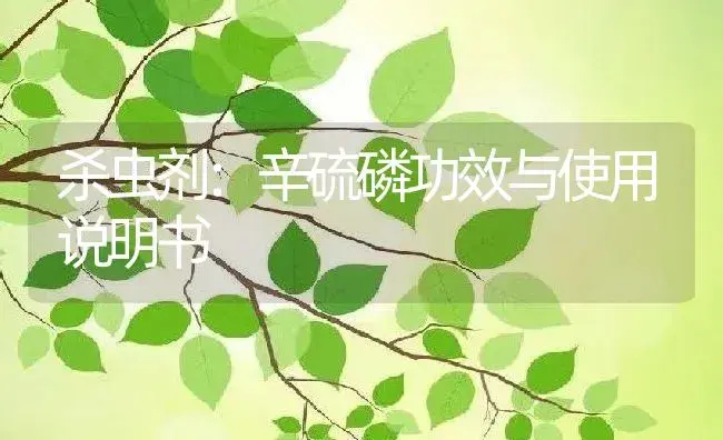 杀虫剂：辛硫磷 | 适用防治对象及农作物使用方法说明书 | 植物农药