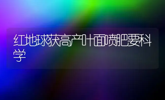 红地球获高产叶面喷肥要科学 | 植物肥料