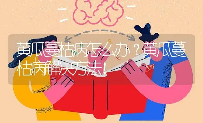 黄瓜蔓枯病怎么办？黄瓜蔓枯病解决方法！ | 蔬菜种植