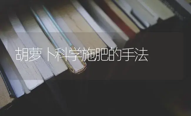 胡萝卜科学施肥的手法 | 蔬菜种植