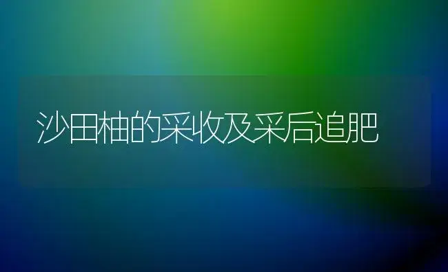 沙田柚的采收及采后追肥 | 植物肥料