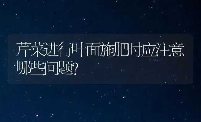 芹菜进行叶面施肥时应注意哪些问题？ | 植物肥料