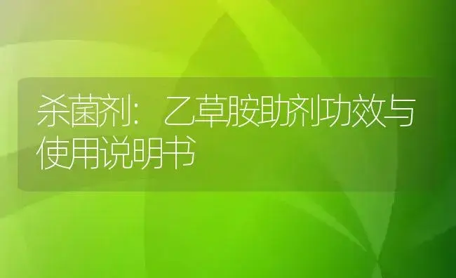 杀菌剂：乙草胺助剂 | 适用防治对象及农作物使用方法说明书 | 植物农药