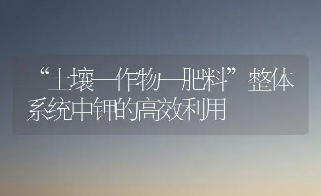 “土壤—作物—肥料”整体系统中钾的高效利用 | 植物肥料