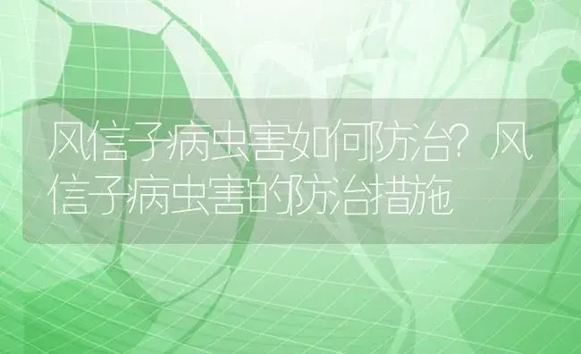 风信子病虫害如何防治？风信子病虫害的防治措施 | 植物病虫害