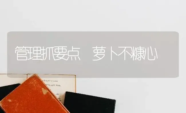 管理抓要点 萝卜不糠心 | 蔬菜种植