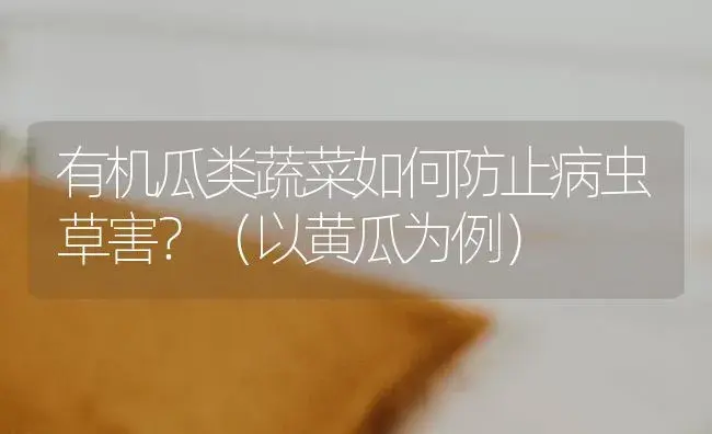 有机瓜类蔬菜如何防止病虫草害？（以黄瓜为例） | 蔬菜种植