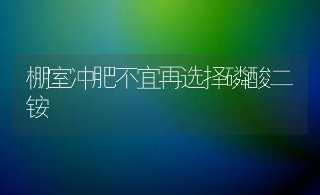 棚室冲肥不宜再选择磷酸二铵 | 植物肥料