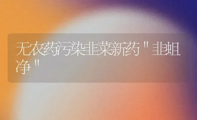 无农药污染韭菜新药