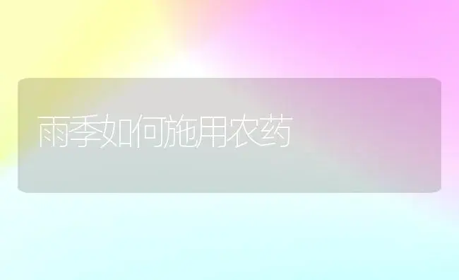 雨季如何施用农药　 | 植物农药