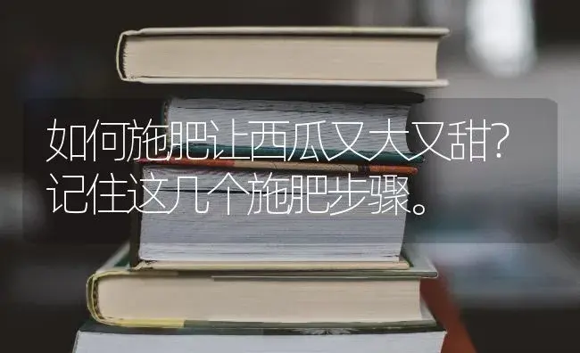 如何施肥让西瓜又大又甜？记住这几个施肥步骤。 | 蔬菜种植