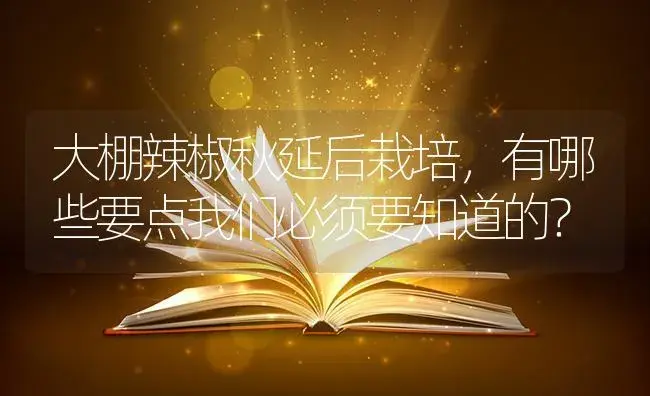 大棚辣椒秋延后栽培，有哪些要点我们必须要知道的？ | 蔬菜种植