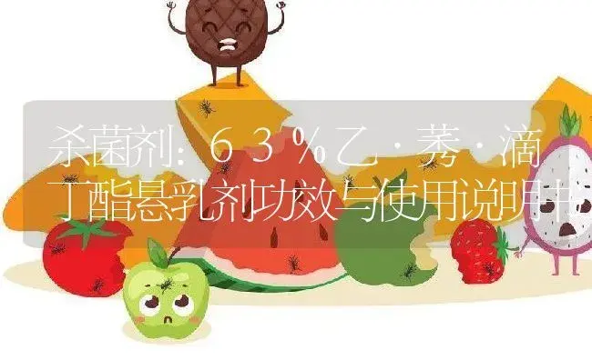 杀菌剂：63%乙·莠·滴丁酯悬乳剂 | 适用防治对象及农作物使用方法说明书 | 植物农药