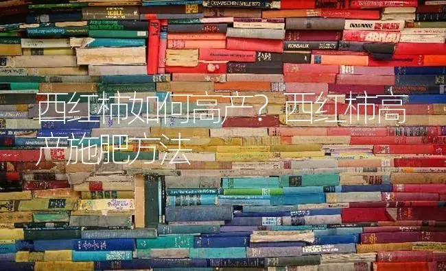 西红柿如何高产？西红柿高产施肥方法 | 蔬菜种植