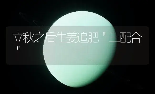 立秋之后生姜追肥