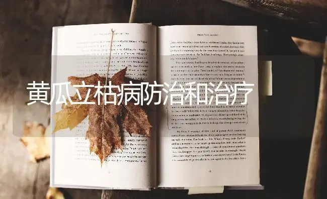 黄瓜立枯病防治和治疗 | 蔬菜种植