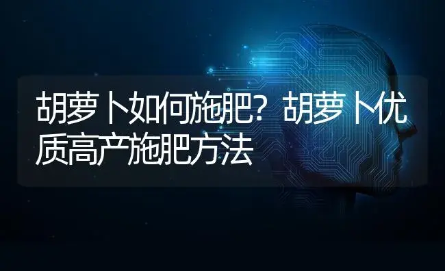 胡萝卜如何施肥？胡萝卜优质高产施肥方法 | 蔬菜种植