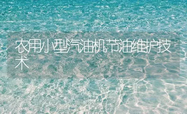 农用小型汽油机节油维护技术 | 农资农机