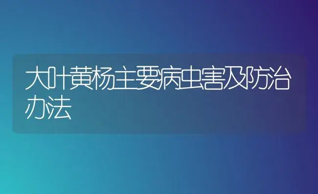 大叶黄杨主要病虫害及防治办法 | 植物病虫害