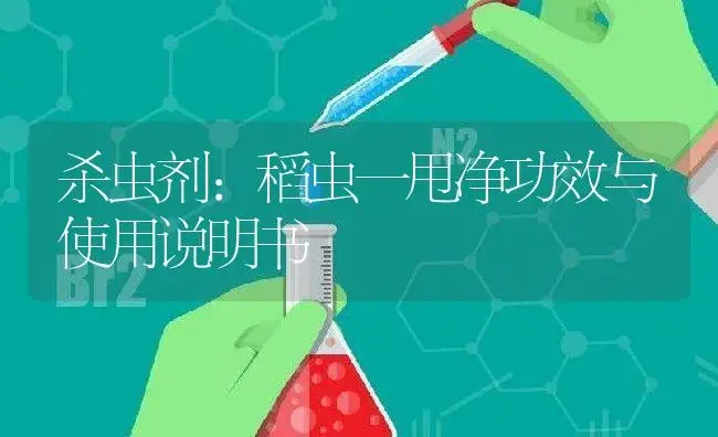 杀虫剂：稻虫一甩净 | 适用防治对象及农作物使用方法说明书 | 植物农药